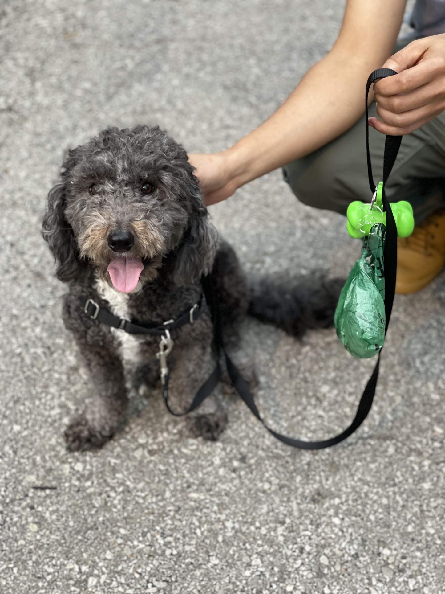 Dog Poo Holder with Dog Name