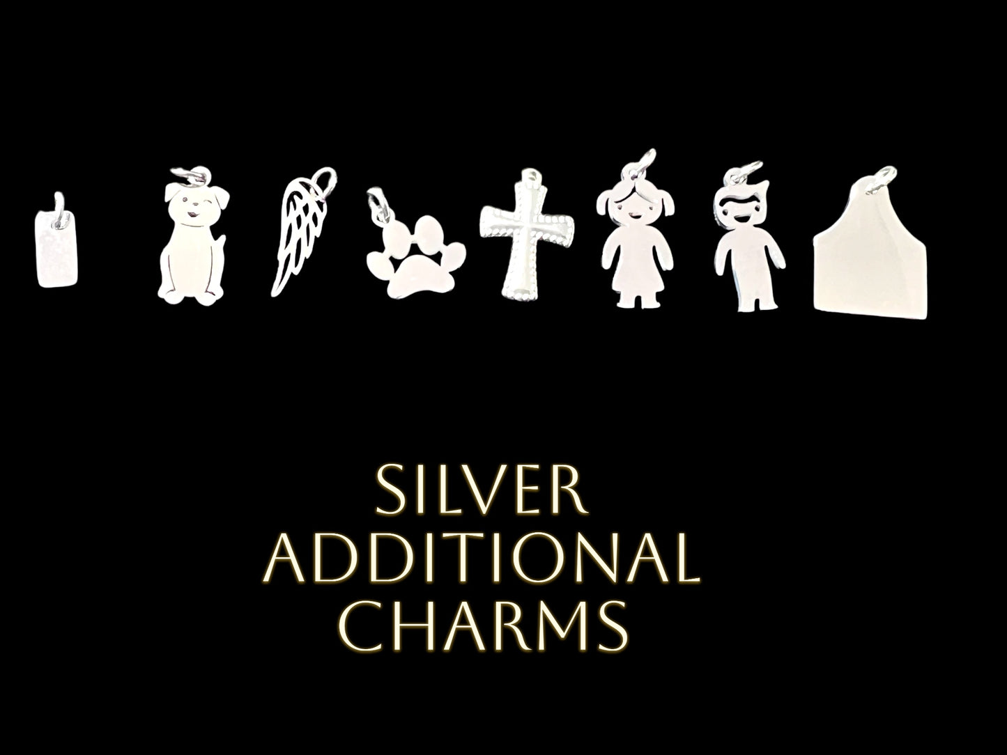 Various Add on Charms - stainless Steel